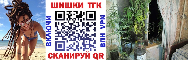 Магазины продажи наркотиков Дубна Гашиш  Альфа ПВП  МЕФ 