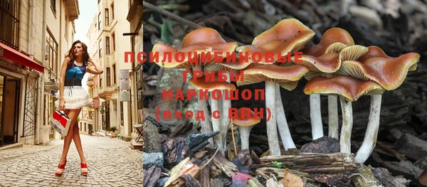 мяу мяу мука Абинск