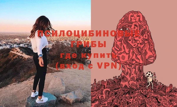 мяу мяу мука Абинск