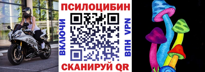 закладки  Дубна  Галлюциногенные грибы мицелий 