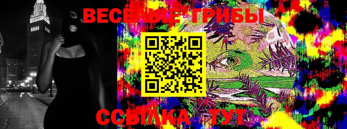 Псилоцибиновые грибы мухоморы Дубна