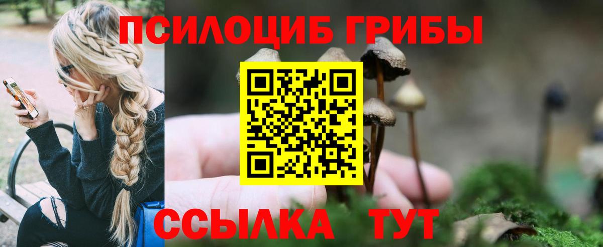Галлюциногенные грибы GOLDEN TEACHER  Вход с VPN  Дубна 