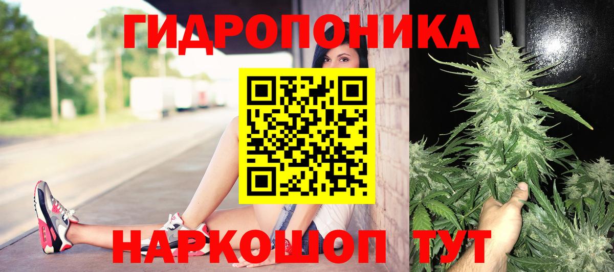 Шишки марихуана гибрид  МАРИХУАНА SATIVA & INDICA  Дубна  Вход с VPN 